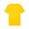 PUMA TeamFINAL Trikot Gelb F07 - gelb