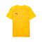 PUMA TeamFINAL Trikot Gelb F07 - gelb