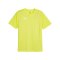 PUMA teamFINAL Trikot Türkis F30 - tuerkis