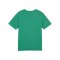 PUMA teamFINAL Trikot Kids Grün F05 - gruen
