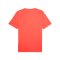 PUMA TeamFINAL Trikot Rot F42 - rot