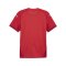 PUMA teamFINAL Trikot Rot Weiss Rot F01 - rot