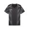 PUMA teamFINAL Trikot Schwarz F03 - schwarz