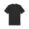 PUMA teamFINAL Trikot Schwarz Weiss Grau F03 - schwarz