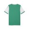 PUMA teamFINAL26 Knit Trikot Grün F05 - gruen