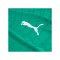 PUMA teamFINAL26 Knit Trikot Grün F05 - gruen