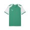 PUMA teamFINAL26 Knit Trikot Grün F05 - gruen