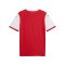 PUMA teamFINAL26 Knit Trikot Rot F01 - rot