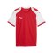 PUMA teamFINAL26 Knit Trikot Rot F01 - rot