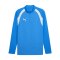 PUMA teamFINAL26 Training 1/4 Zip Top Blau F02 - blau