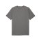 PUMA teamFINAL26 Training Trikot Grau F13 - grau