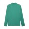 PUMA teamFINAL26 Trainingsjacke Grün F05 - gruen