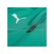 PUMA teamFINAL26 Trainingsjacke Grün F05 - gruen