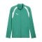 PUMA teamFINAL26 Trainingsjacke Grün F05 - gruen