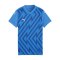 PUMA teamGLORY Trikot Damen Blau F02 - blau
