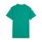 PUMA teamGLORY Trikot Damen Grün F005 - gruen