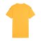 PUMA teamGLORY Trikot Damen Orange Schwarz F61 - orange