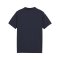 PUMA teamGLORY Trikot Kids Blau Weiss Blau F06 - blau