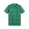 PUMA teamGLORY Trikot Kids Grün Weiss Grün F05 - gruen