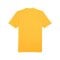 PUMA teamGLORY Trikot Orange Schwarz F61 - orange
