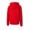 PUMA teamGOAL 23 Casuals Hoody Kids Rot F01 - rot