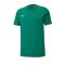 PUMA teamGOAL 23 Casuals Tee T-Shirt Grün F05 - Gruen