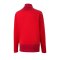 PUMA teamGOAL 23 Training 1/4 Zip Top Kids Rot F01 - rot
