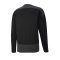 PUMA teamGOAL 23 Training Sweatshirt Schwarz F03 - schwarz