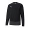 PUMA teamGOAL 23 Training Sweatshirt Schwarz F03 - schwarz