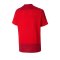 PUMA teamGOAL 23 Training Trikot Kids Rot F01 - rot