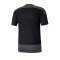 PUMA teamGOAL 23 Training Trikot Schwarz F03 - schwarz