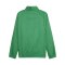 PUMA teamGOAL Allwetterjacke Grün Weiss F05 - gruen