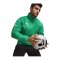 PUMA teamGOAL Allwetterjacke Grün Weiss F05 - gruen