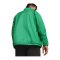 PUMA teamGOAL Allwetterjacke Grün Weiss F05 - gruen