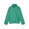 PUMA teamGOAL Allwetterjacke Kids Grün Weiss F05 - gruen