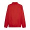 PUMA teamGOAL Allwetterjacke Rot Weiss F01 - rot