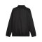 PUMA teamGOAL Allwetterjacke Schwarz Weiss F03 - schwarz