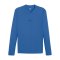 PUMA TeamGOAL Baselayer Longsleeve Blau F02 - blau