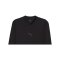 PUMA teamGOAL Baselayer Longsleeve Schwarz F03 - schwarz