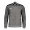PUMA teamGOAL Casual Trainingsjacke Grau Weiss F13 - grau