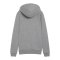 PUMA teamGOAL Casuals Hoody Damen Grau F33 - grau