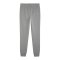 PUMA teamGOAL Casuals Jogginghose Grau F33 - grau