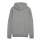 PUMA teamGOAL Casuals Kapuzenjacke Grau F33 - grau