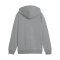 PUMA teamGOAL Casuals Kapuzenjacke Kids Grau F33 - grau