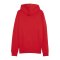 PUMA teamGOAL Casuals Kapuzenjacke Rot F01 - rot