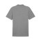PUMA teamGOAL Casuals Poloshirt Grau F33 - grau