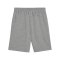PUMA teamGOAL Casuals Shorts Kids Grau F33 - grau