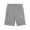 PUMA teamGOAL Casuals Shorts Kids Grau F33 - grau