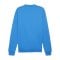 PUMA teamGOAL Casuals Sweatshirt Blau F02 - blau