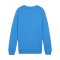 PUMA teamGOAL Casuals Sweatshirt Kids Blau F02 - blau